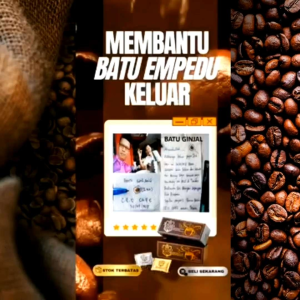 KOPI SH JUWARA CAFE 1 BOX ISI 20 SACHET SILVER 3 IN 1 KOPI KESEHATAN EKSTRAK JAMUR LINGZHI