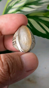cincin batu akik pandan realpic