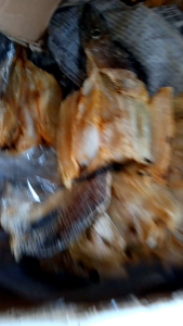 IKAN ASIN GABUS BESAR 500GR: SEBUAH PENGALAMAN MASAKAN