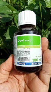 Herbisida GOAL 240 EC Pembasmi gulma pra tanam