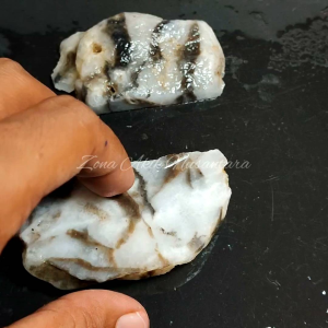 Jesper zebra sukabumi batu unik 100% Original Natural