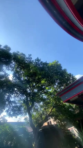 Knalpot Samlong MiobeatVarioPCXnmax Inlet 38-50 Original Smuff