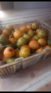 BUAH MARKISA KONYAL 500GR