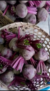 buah bit organik fresh 5 kg