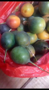 1kg buah markisa konyal madu manis terlaris