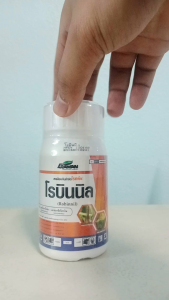 โรบินนิล 250 cc คลอโรทาโลนิล+ อะซอกซีสโตรบิน #แอลเจอะโกร