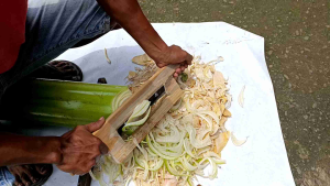 Alat Pencacah/Pengiris Batang/Pohon Pisang Untuk Bahan Fermentasi Pakan Ternak