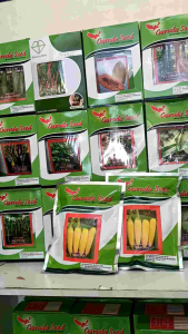 Garuda Seed Benih Jagung Manis Unggul Baruna 250gram