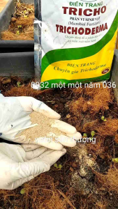 Trichoderma 1kg Điền Trang Vi Sinh Vật Ủ Rác Màu Phân Hủy Phân Bón Cho Cây