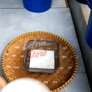 (-+15 butir) Benih tanaman labu hitam jepang import [kemasan pabrik]