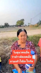 สารย่อยสลายต่อสั่งฟางข้าวย่อยเมล็ดข้าวดีดเทนเดอร์คุณสมบัติเทรนเดอร์เป็นสารสกัดอินทรีย์ชนิดเข้มข้นสารย่อยสลายต่อสั่งฟางข้าวเมล็ดข้าวดีดข้าวเด้งได้ปุ๋ยธรรมชาติเพิ่มจุลินทรีย์ในดินช่วยย่อยสลายเคมีในดินย่อยสลายข้าวดีดเข้าเด้งเข้าปนวัชพืชในนาช่วยลดต้นทุนในการเ