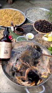 COMBO Syampu Semulajadi Rambut Herbal Locust Perawatan Rambut Kehilangan Natural Hair Shampoo - Combo Dầu Gội Bồ Kết