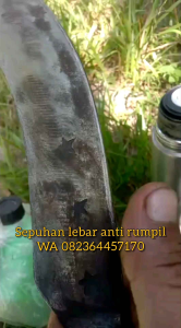Egrek Sawit  Medan Bintang 3 Kolongan