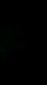 Phông nền chụp ảnh quay video vải màu đen( cao 25m x 16m)