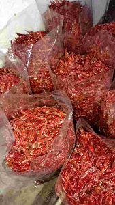 MURAH ( 1kg ) CENGEK/CABE RAWIT TEJA CAPLAK KERING TANPA TANGKAI KULITAS SUPER PEDASSSS