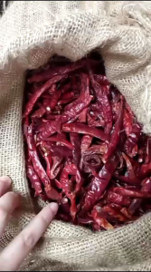 PROMO 1KG CABE TEJA RAWIT KERING kualitas super pedas