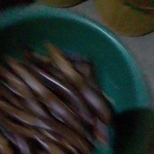 Pipa Rokok Bahan Batok Kelapa