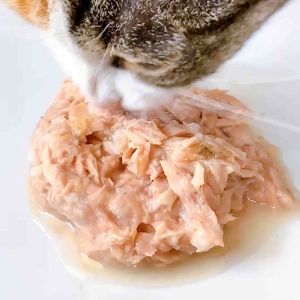 อาหารเปียกแมว รสทูน่าท็อปปิ้งต่างๆขนาด85กรัม มีให้เลือกทั้งเจลลี่เกรวี่ซุป คลิกเลือกรสที่ต้องการได้เลย อาหารแมวกระป๋องเปลือย