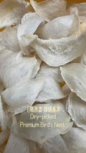 【HAOWO】Premium Grade Bird’s Nest 干挑燕窝 顶级燕窝 Sarang Burung Gred Premium