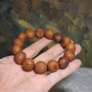 Rare 16mm+ aged natural Nepal "Dragon Eye" Bodhi (Bodhichitta Bodhi) bracelet [Natural unprocessed]