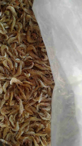 Udang Kering Tawar Premium Murah Bersih 500g Pakan Ikan Hias