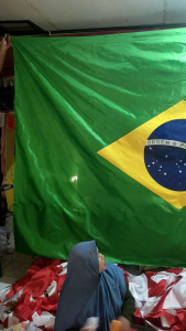 Bendera Brazil Polyester Peles (3m)