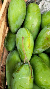 Buah Mangga Kiojay 1kg