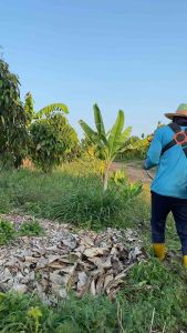 A00แฮนด์เครื่องตัดหญ้าจับถนัดมืออะลูมิเนียม(ไม่รวมมือเร่ง)