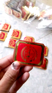 Tanda topi Pramuka putra / perlengkapan pramuka / alat pramuka / acesoris pramuka