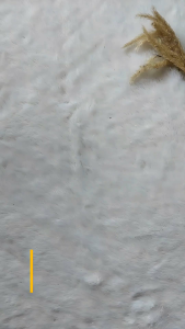 Jilbab Anak Motif Boba Mickey Kerudung Jersey Hijab Plisket Anak