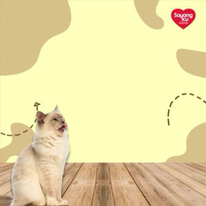 Makanan Kucing Premium Sayangku 500g - Ocean Fish / Chicken Tuna / Tuna / Tenggiri Carrot Flavour