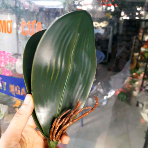 Com bo sỉ 10 cụm Lá lan hồ điệp dùng cắm chậu lan thật hoặc lan giả chất liệu cao su mềm đẹp như lá thật /Cây giả