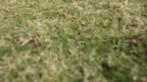 Ranvoo Aice Lite Air Conditioner Neck Fan 2025 c/w Free Carrying Bag (1 Year Warranty) - New Arrival !