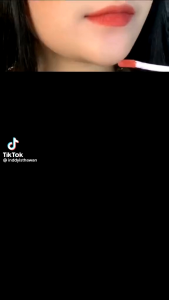 THE BEST LIPSTIK LAMEILA TIDAK LENGET TIDAK LUNTUR KARNA AIR TAHAN LAMA