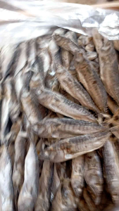 Ikan Asin Cue Tongkol Utuh 1 Kg