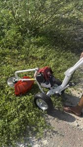 คลินิก ดีมากๆ รถเข็นตัดหญ้า 3ล้อ 4จังหวะ 4แรง YAMATEX ของแท้ ถูกแล้ว ให้ความสวยความงาม