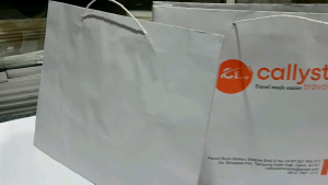 paper bag putih ukuran 25 x 35 custom