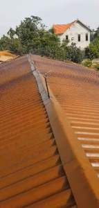 Set 3 béc tưới câybéc phun mưa