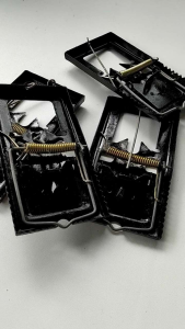 PERANGKAP TIKUS BESI - JEBAKAN TIKUS LANGSUNG MATI - BENCET TIKUS