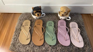 Sandal Jepit Cewek PCU - Sendal Jepit Karet Jelly - Sandal Jepit Wanita Warna Pastel