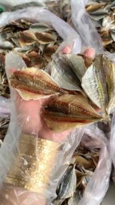 KHÔ CÁ CHỈ VÀNG (Cá Ngân) 3 nắng LOẠI 1 (Đặc Sản CÀ MAU Tẩm Vị Ít Xương Thơm Ngon) Ship Toàn Quốc