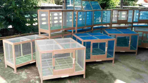 กรงไก่ กรงขนาดใหญ่ กรงสัตว์ กรงกระต่าย กรงอนุบาลไก่ กรงผสมไก่ กรงอนุบาลสัตว์ กรงเลี้ยงไก่