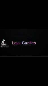 ลูกไม้กากเพชรปักเลื่อมและมูก Glitter Lace Fabric with Pearls and Sequins ตาข่ายกากเพชรปัก