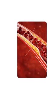 Dầu Cá Sports Research Omega-3 Fish Oil 1250mg 90 Viên