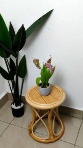COT391. Natural Rattan Stool/ Side Table