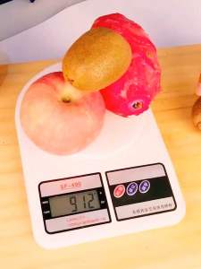 Ferment Lab enzyme barrel 10 L 滋源の酵硏-酵素桶快速发酵桶10L➕沥芯➕压网➕瓶子➕工具➕糖度仪