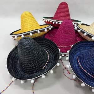 READY STOCK Kids Children Mexican Hat America Latin Hat Mexico Hat Movie Carton Story Book Character