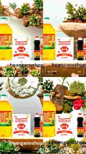 Combo 1c Dầu ăn Cái Lân 5 lít 1gói Bột Ngọt Ajinomoto 1kg Hạt Lớn - Tặng 1c Nước Tương 500ml 1gói Bột Canh 190gr 1gói Hạt Nêm 55gr