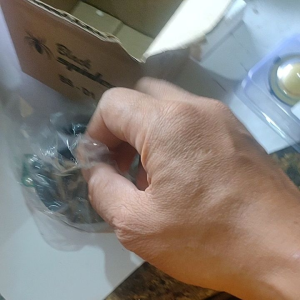 TWEETER DRIVER TWITER BLACK SPIDER BS D1 BAGUS MURAH BLACKSPIDER