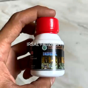 Obat kuat dan tahan lama kapsul Ar Rijal Original